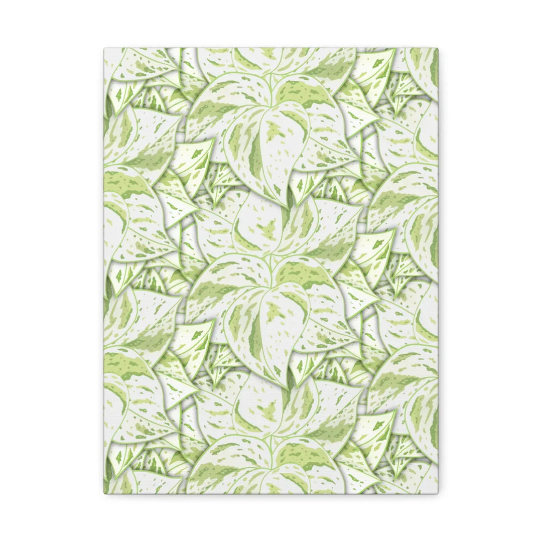 Snow Queen Pothos Canvas – Matte Finish Canvas Art Print | Variegated Botanical Wall Decor