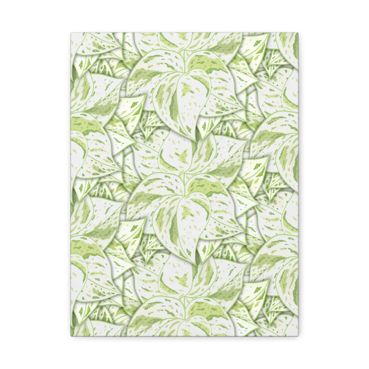 Snow Queen Pothos Canvas – Matte Finish Canvas Art Print | Variegated Botanical Wall Decor