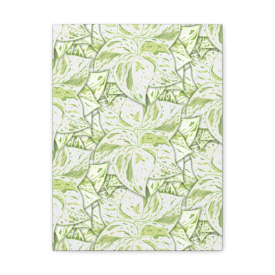 Snow Queen Pothos Canvas