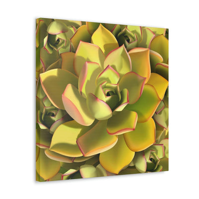 Noble Aeonium Succulent Pattern Canvas, Canvas, Printify, Art & Wall Decor, Canvas, Hanging Hardware, Home & Living, Indoor, Laura Christine Photography & Design, laurachristinedesign.com