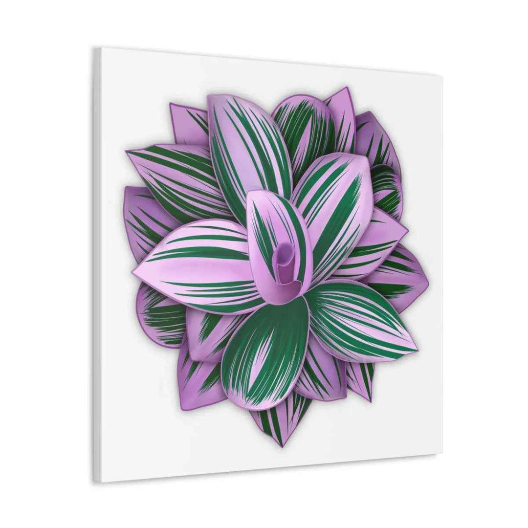 Tradescantia Nanouk Canvas – Botanical Canvas Art Print | Matte Finish Wall Decor