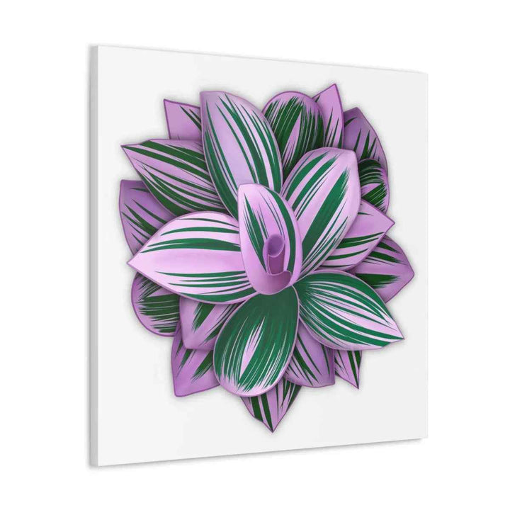 Tradescantia Nanouk Canvas – Botanical Canvas Art Print | Matte Finish Wall Decor