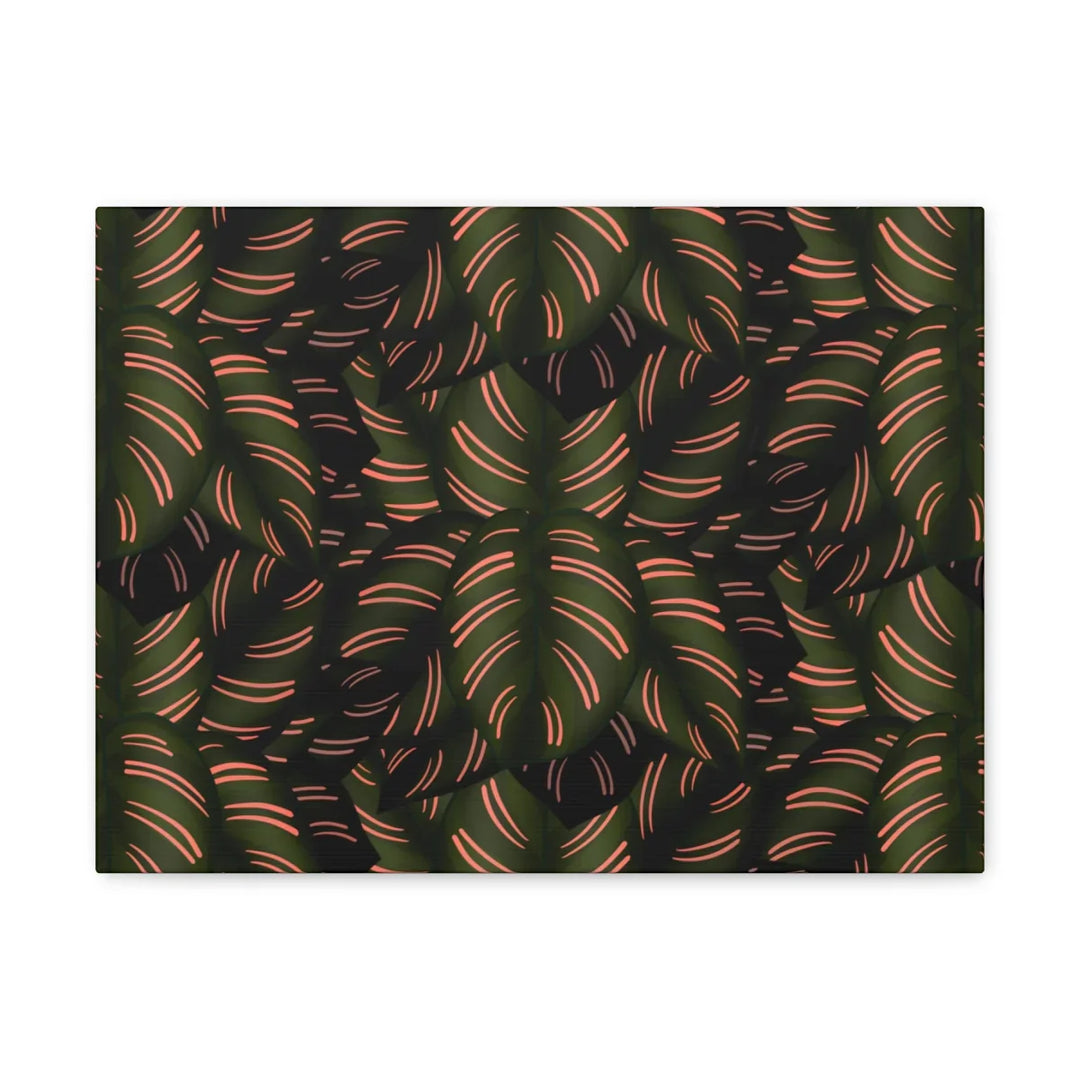Calathea Pinstripe Canvas – Botanical Canvas Art Print | Matte Finish Wall Decor