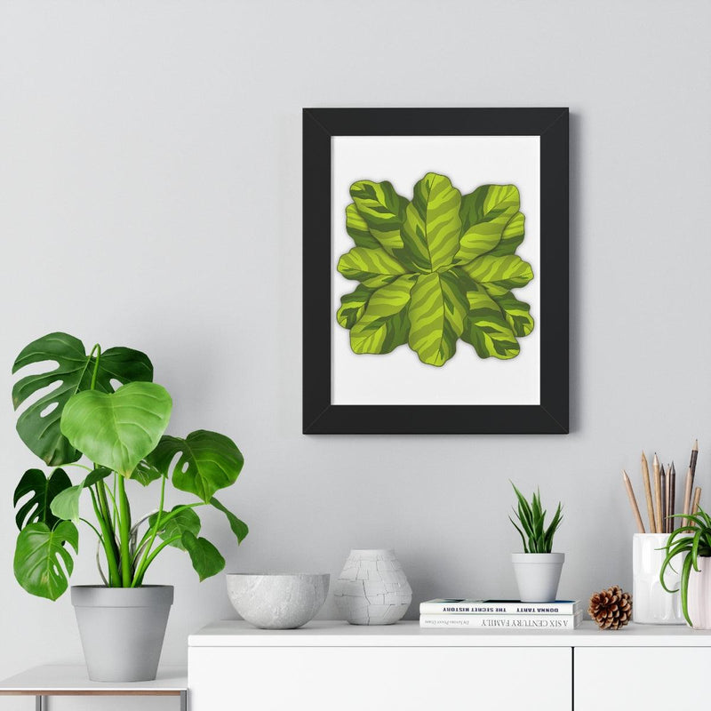 Calathea Yellow Fusion Framed Print, Poster, Laura Christine Photography & Design, Bottle, Calathea, Canvas Bag, Coffee, Drinkware, Framed, Home & Living, Indoor, Paper, Posters, Prayer Plant, Reusable, Shopping Bag, Tea, Tote Bag, Travel, Tumbler, Water, Yellow Fusion, Laura Christine Photography & Design, laurachristinedesign.com