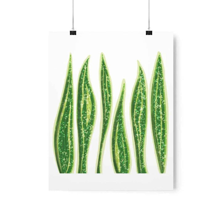 Snake Plant Print – Large Botanical Wall Art Poster | Matte Finish | Unframed
