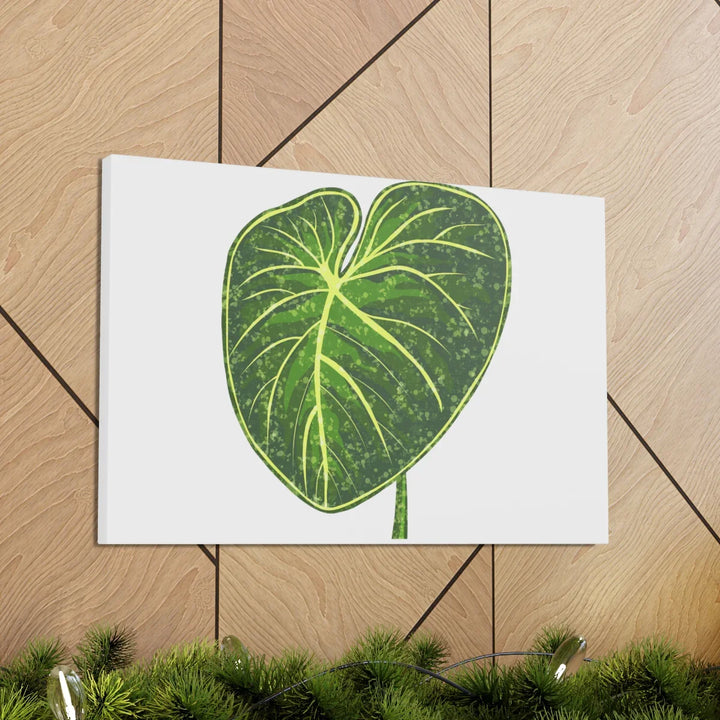 Philodendron Gloriosum Canvas - Stretched Canvas Art Print | Matte Indoor Wall Art - Laura Christine Photography & Design