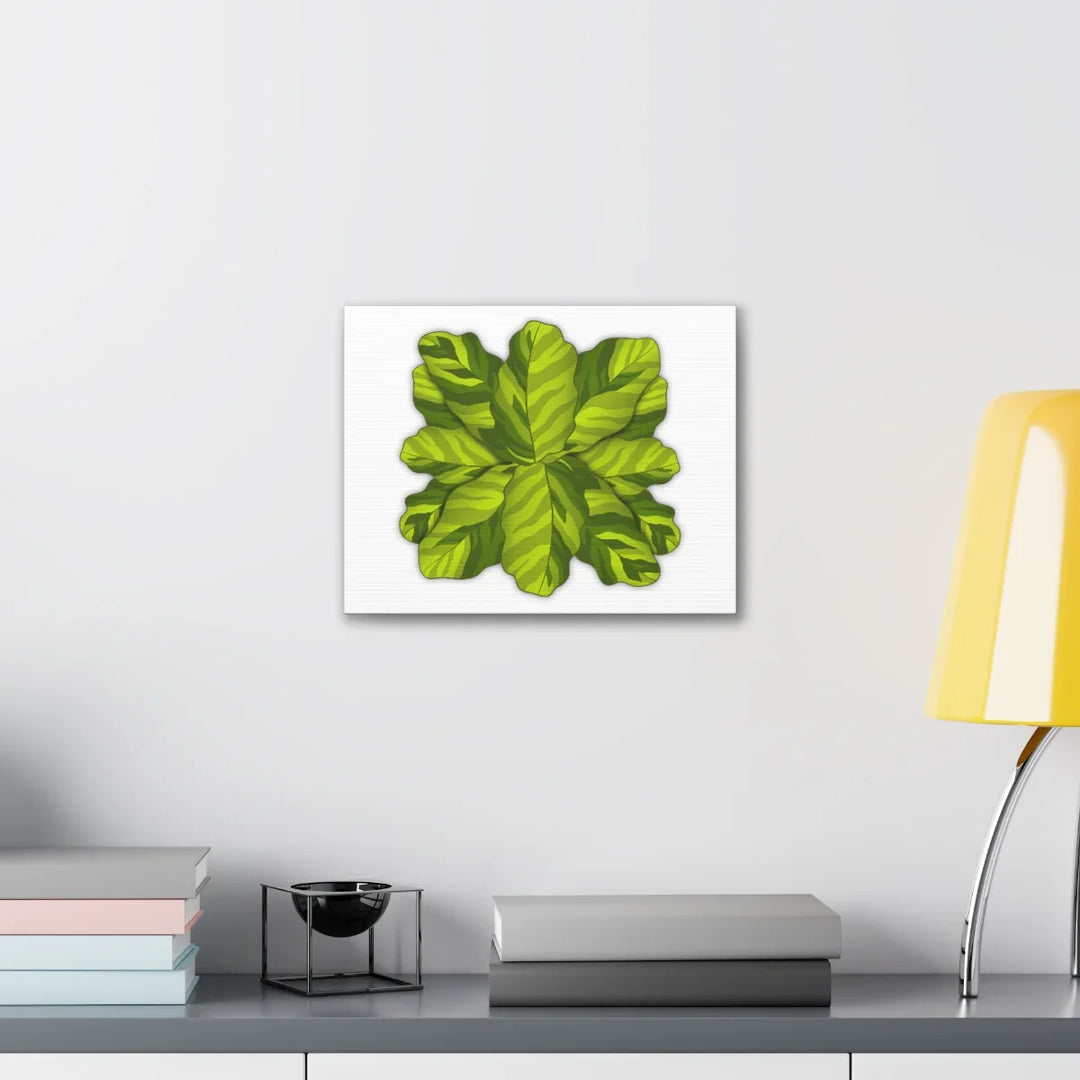 Calathea Yellow Fusion Canvas – Botanical Canvas Print With Unique Leaf Pattern Art - Laura Christine Photography & Design