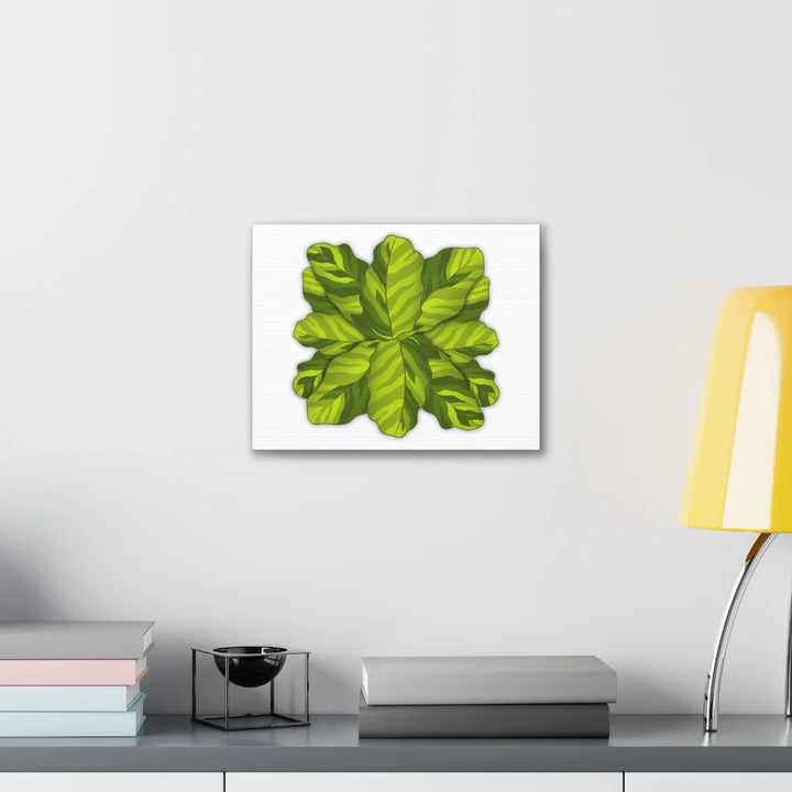Calathea Yellow Fusion Canvas – Botanical Canvas Print With Unique Leaf Pattern Art - Laura Christine Photography & Design