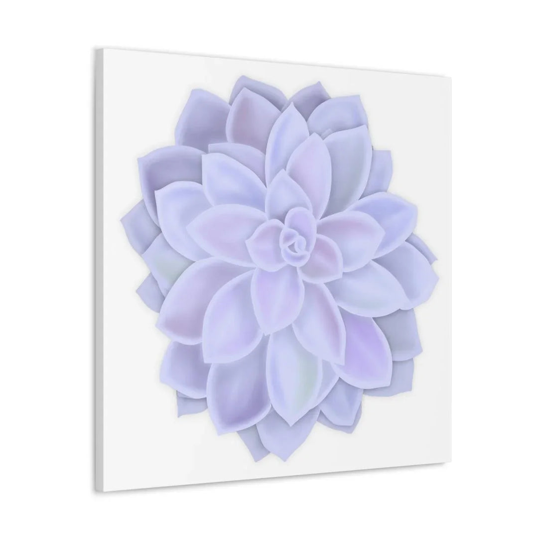 Graptopetalum 'Murasaki' Succulent Canvas, Canvas, Laura Christine Photography & Design, Art & Wall Decor, Canvas, Hanging Hardware, Home & Living, Indoor, Laura Christine Photography & Design, laurachristinedesign.com