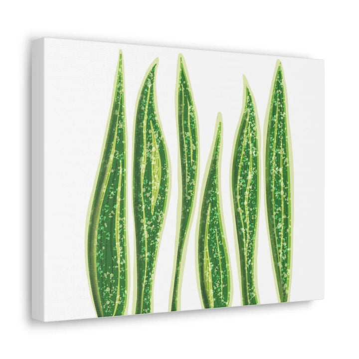 Snake Plant Canvas | Botanical Canvas Decor - Matte Finish Artwork for Living Room - Laura Christine Photography & Design