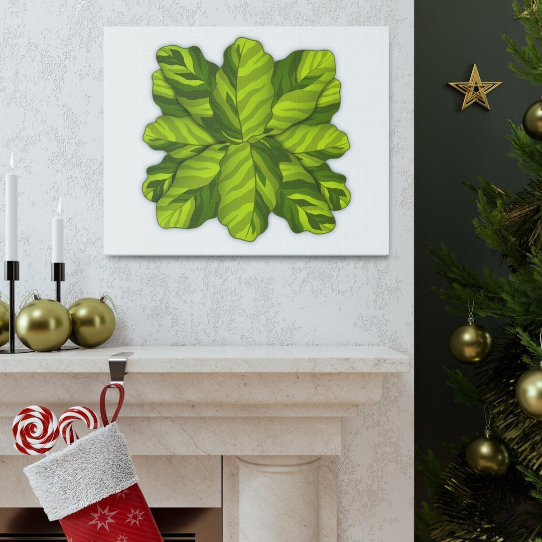 Calathea Yellow Fusion Canvas – Botanical Canvas Print With Unique Leaf Pattern Art - Laura Christine Photography & Design