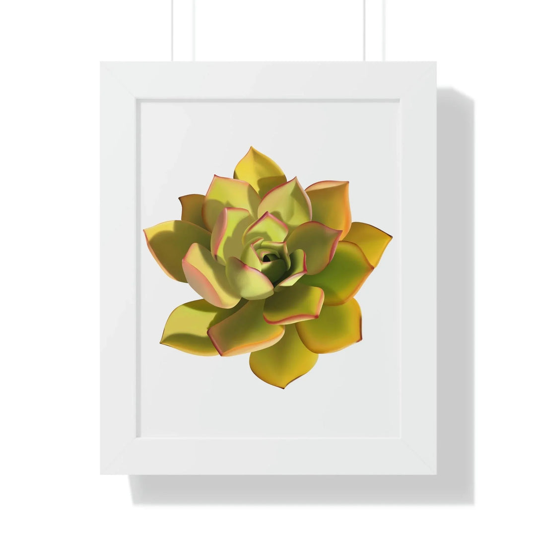 Noble Aeonium Succulent Framed Print, Poster, Printify, Framed, Home & Living, Indoor, Paper, Posters, Laura Christine Photography & Design, laurachristinedesign.com