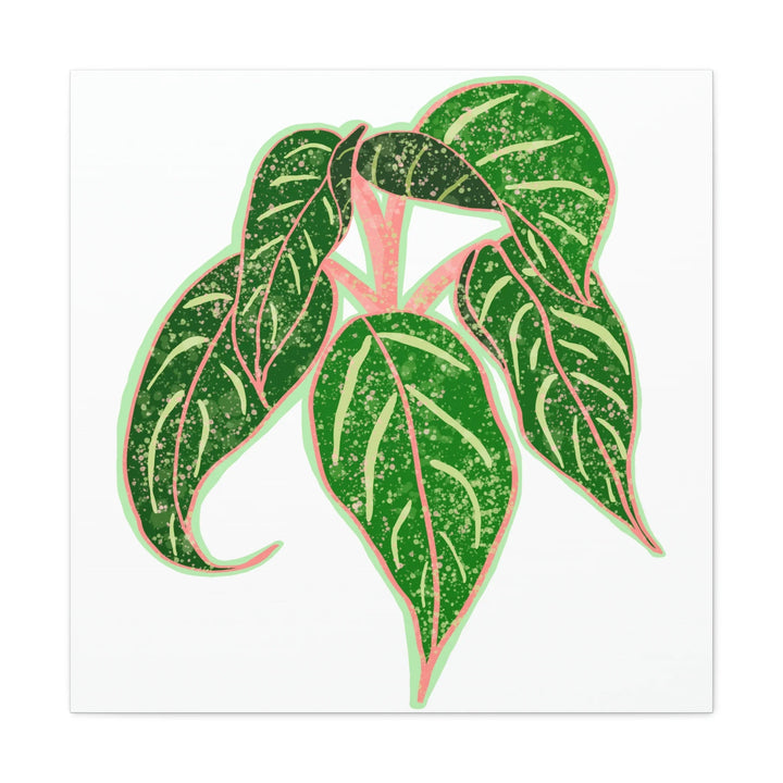 Aglaonema Plant Canvas | Sparkling Plant Artwork - Colorfast Canvas Art Print Decor