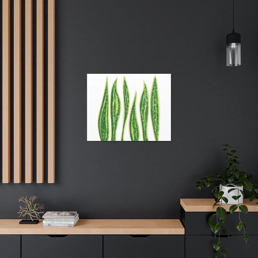 Snake Plant Canvas | Botanical Canvas Decor - Matte Finish Artwork for Living Room - Laura Christine Photography & Design