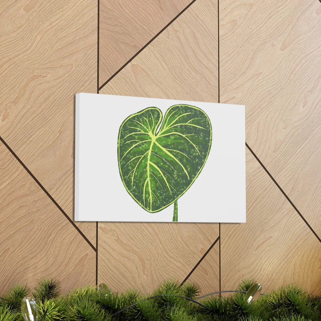 Philodendron Gloriosum Canvas - Stretched Canvas Art Print | Matte Indoor Wall Art - Laura Christine Photography & Design