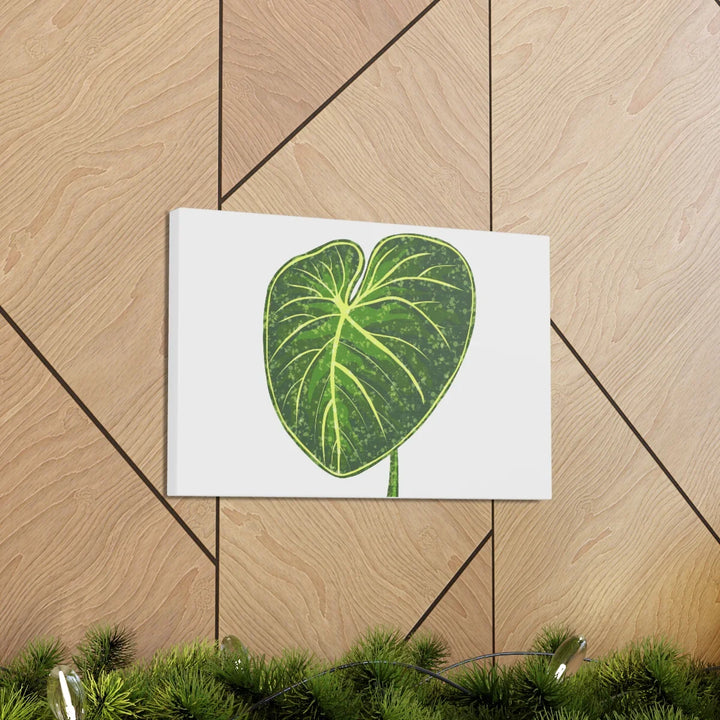 Philodendron Gloriosum Canvas - Stretched Canvas Art Print | Matte Indoor Wall Art - Laura Christine Photography & Design