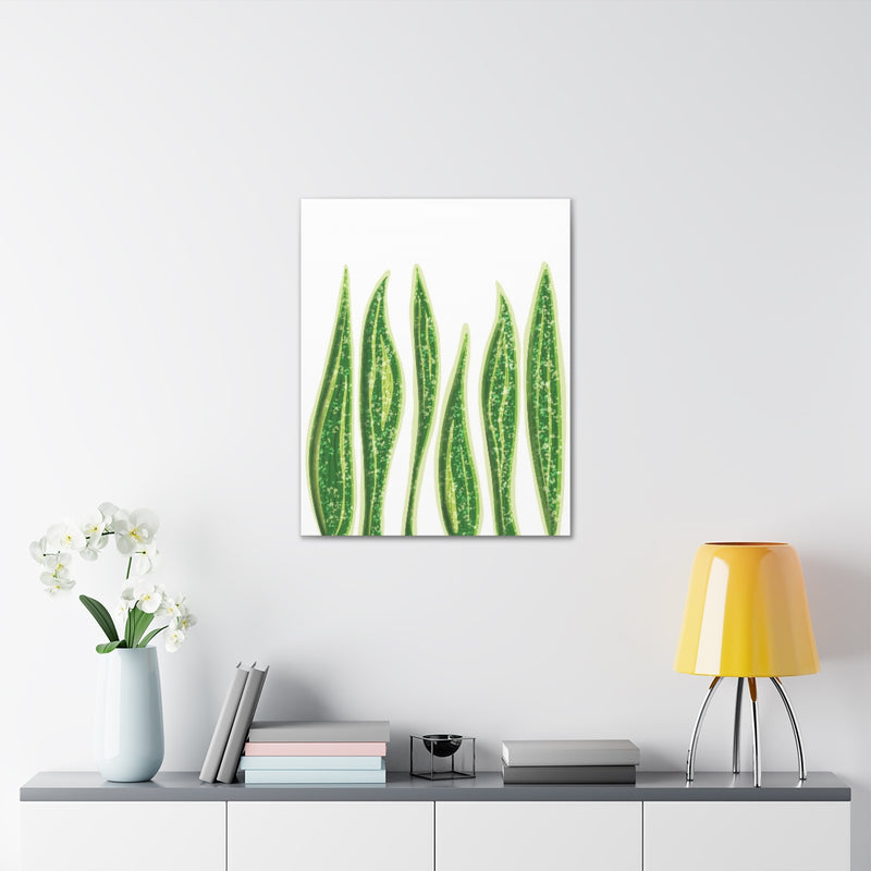 Snake Plant Canvas