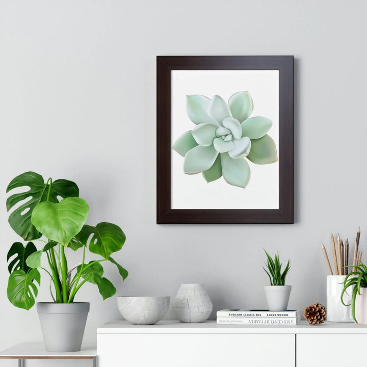 Pachyveria Haagei Succulent Framed Print, Poster, Printify, Framed, Home & Living, Indoor, Paper, Posters, Laura Christine Photography & Design, laurachristinedesign.com
