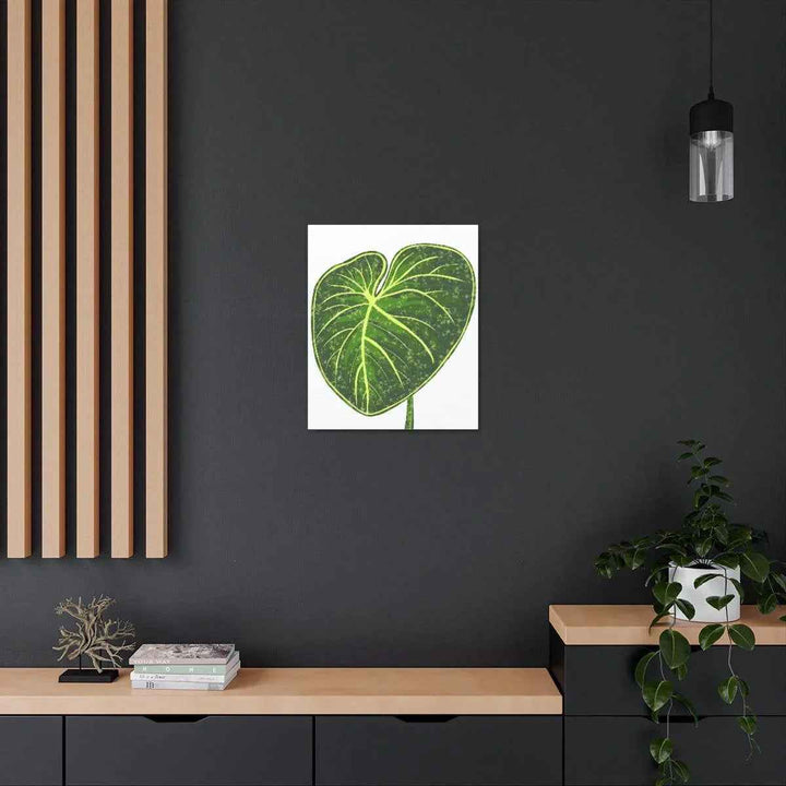Philodendron Gloriosum Canvas - Stretched Canvas Art Print | Matte Indoor Wall Art