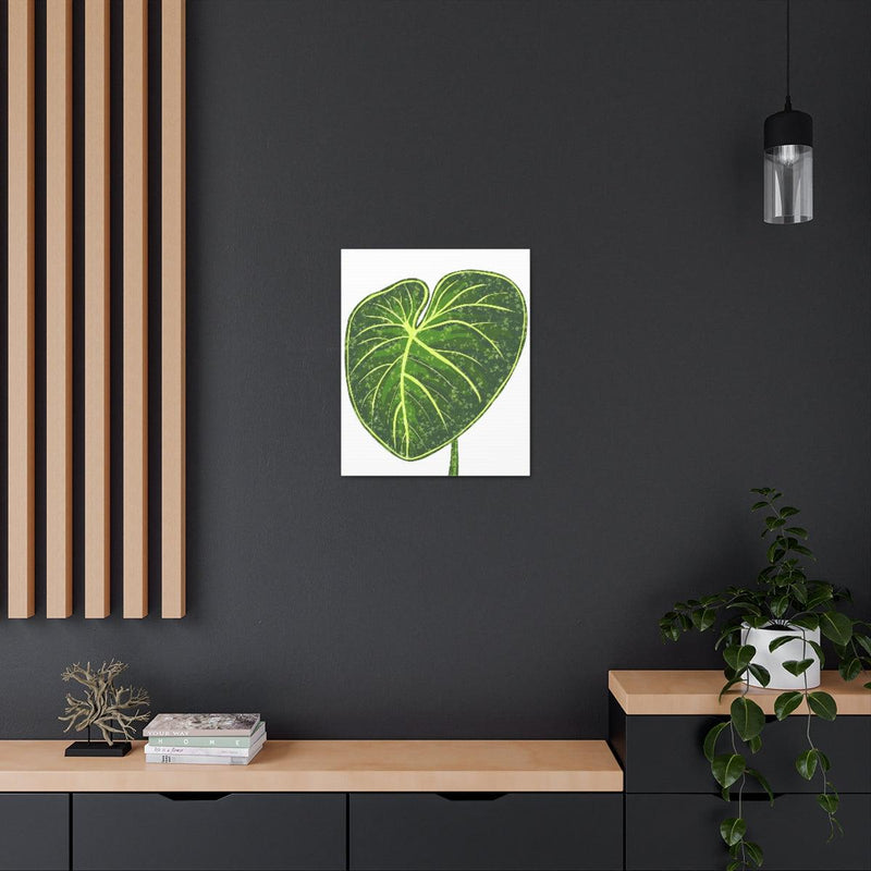 Philodendron Gloriosum Canvas, Canvas, Laura Christine Photography & Design, Art & Wall Decor, Canvas, Hanging Hardware, Home & Living, Indoor, Laura Christine Photography & Design, laurachristinedesign.com