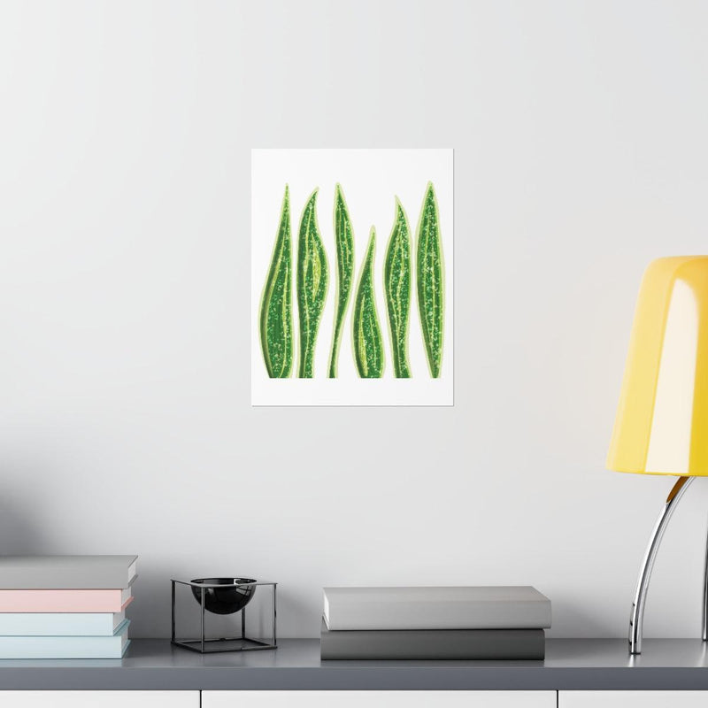 Snake Plant Print, Poster, Laura Christine Photography & Design, Back to School, Home & Living, Indoor, Matte, Paper, Posters, Valentine&