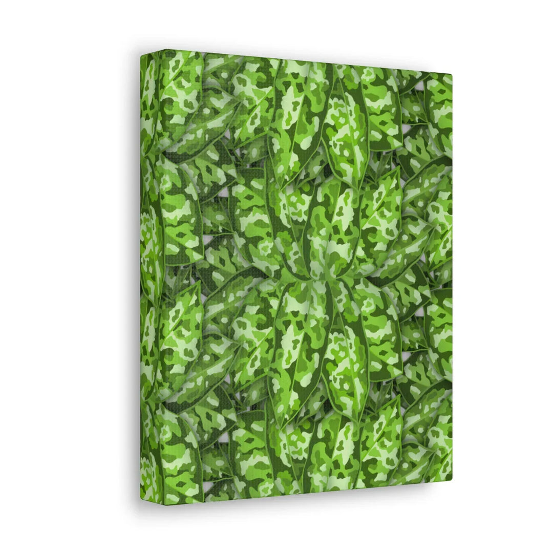 Aglaonema Pictum Canvas - Rare Camouflage Leaf Print Canvas Art Print