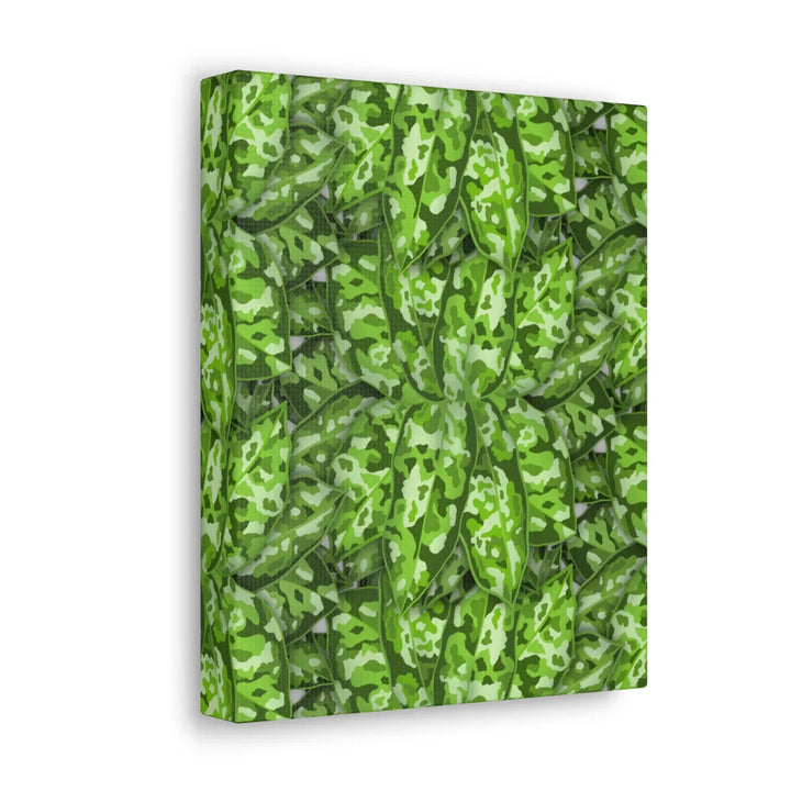Aglaonema Pictum Canvas - Rare Camouflage Leaf Print Canvas Art Print