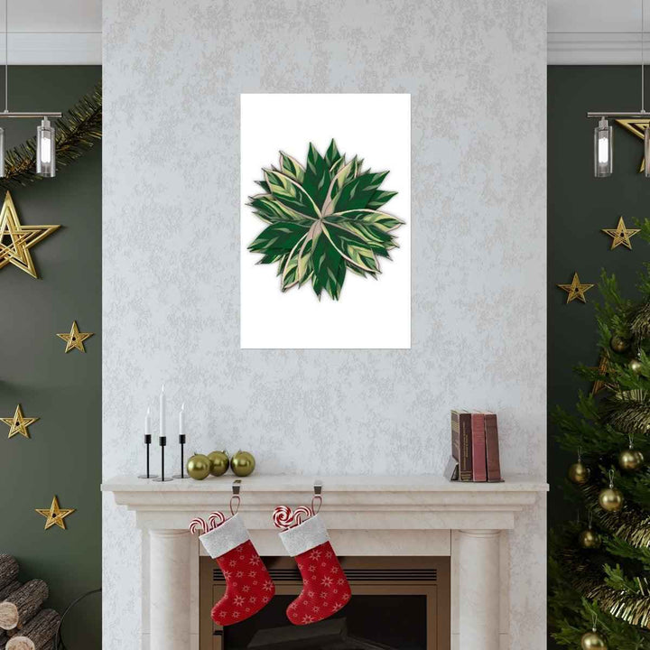Stromanthe Triostar Print – Tropical Wall Art | Botanical Poster on Museum Grade Paper Unframed