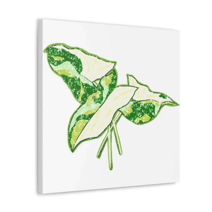 Marble Syngonium Canvas - Botanical Canvas Art Print | Durable Cotton Matte Finish - Laura Christine Photography & Design