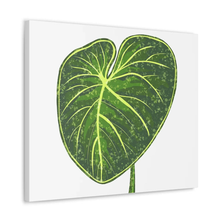 Philodendron Gloriosum Canvas - Stretched Canvas Art Print | Matte Indoor Wall Art - Laura Christine Photography & Design