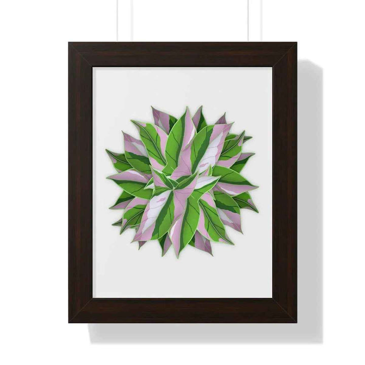 Syngonium Tricolor Print - Framed Botanical Art With Matte Finish & Acrylic Cover