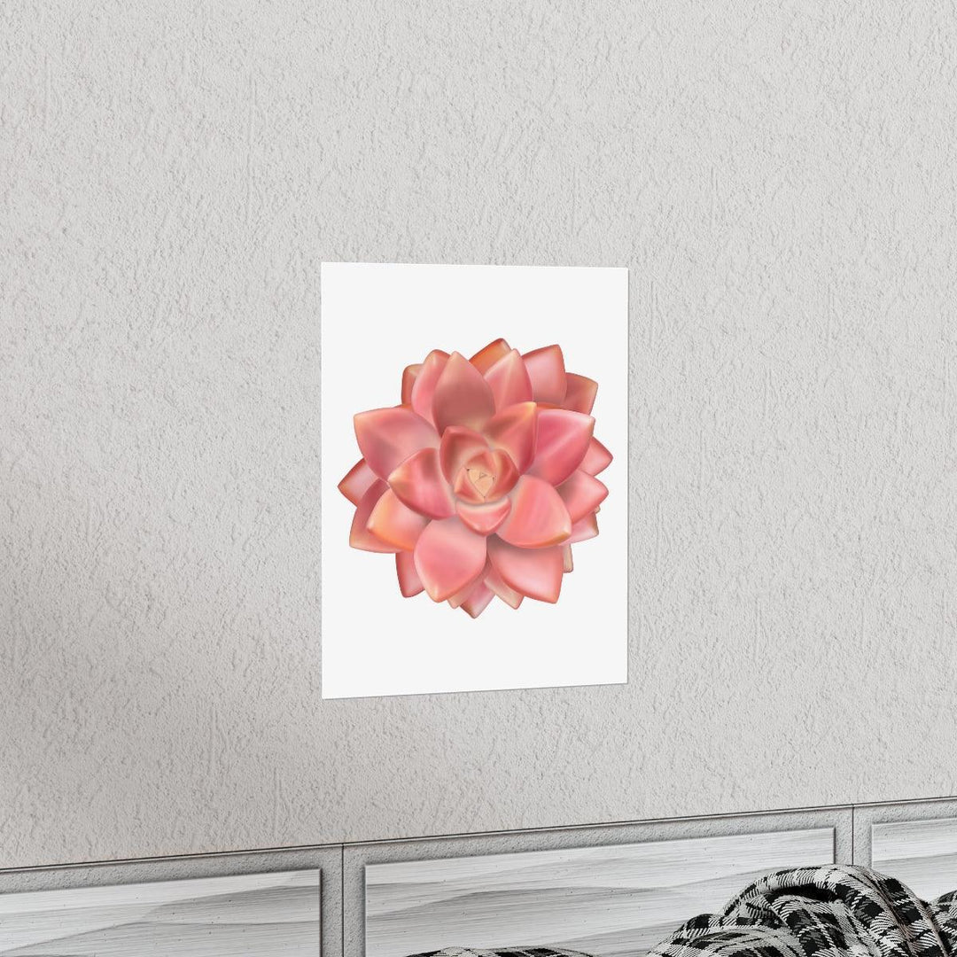 Graptosedum 'California Sunset'  Succulent Print, Poster, Laura Christine Photography & Design, Back to School, Home & Living, Indoor, Matte, Paper, Posters, Valentine's Day promotion, Laura Christine Photography & Design, laurachristinedesign.com