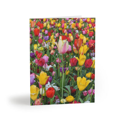 Rainbow tulip field Photo Greeting Card, Paper products, Printify, Greeting Card, Holiday Picks, Home & Living, Paper, Postcard, Postcards, Laura Christine Photography & Design, laurachristinedesign.com