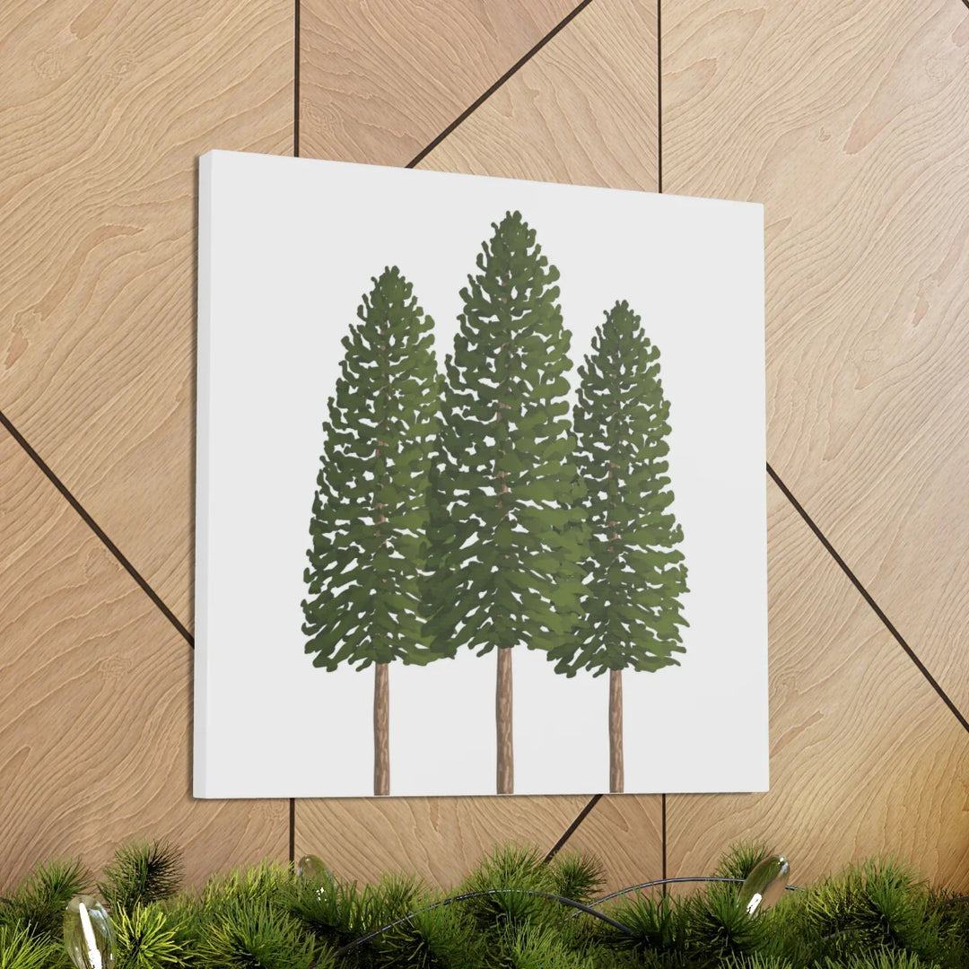 Ponderosa Pine Canvas - Large Stretched Cotton Canvas Art Print With Matte Finish