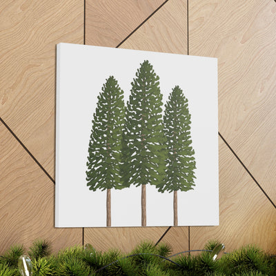 Ponderosa Pine Canvas