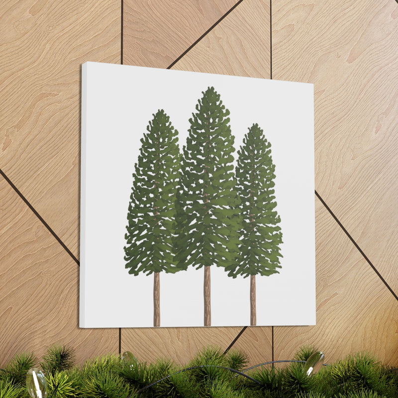 Ponderosa Pine Canvas