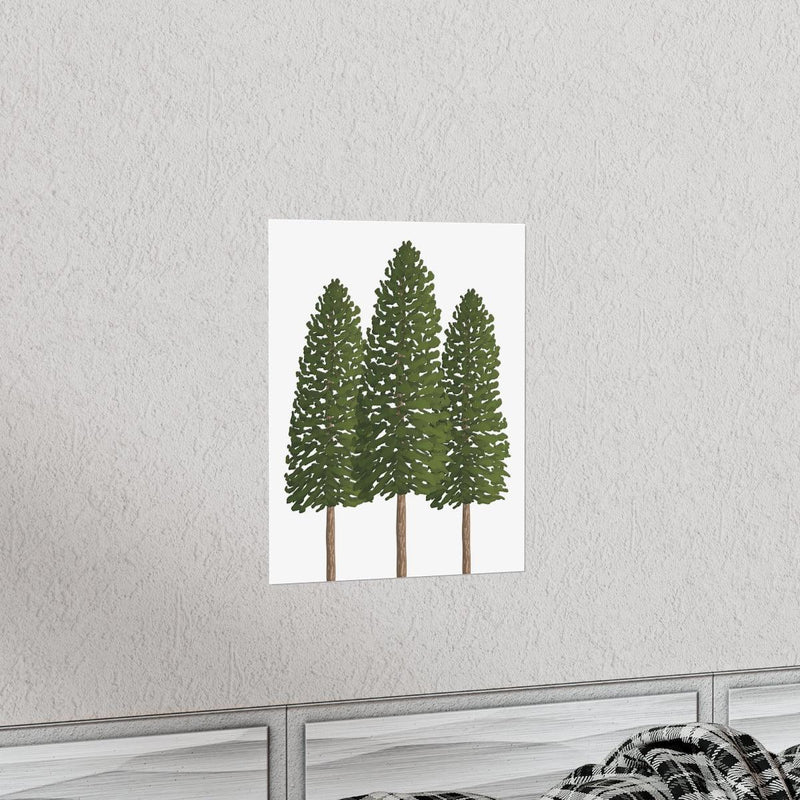 Ponderosa Pine Print, Poster, Laura Christine Photography & Design, Back to School, Home & Living, Indoor, Matte, Paper, Posters, Valentine&