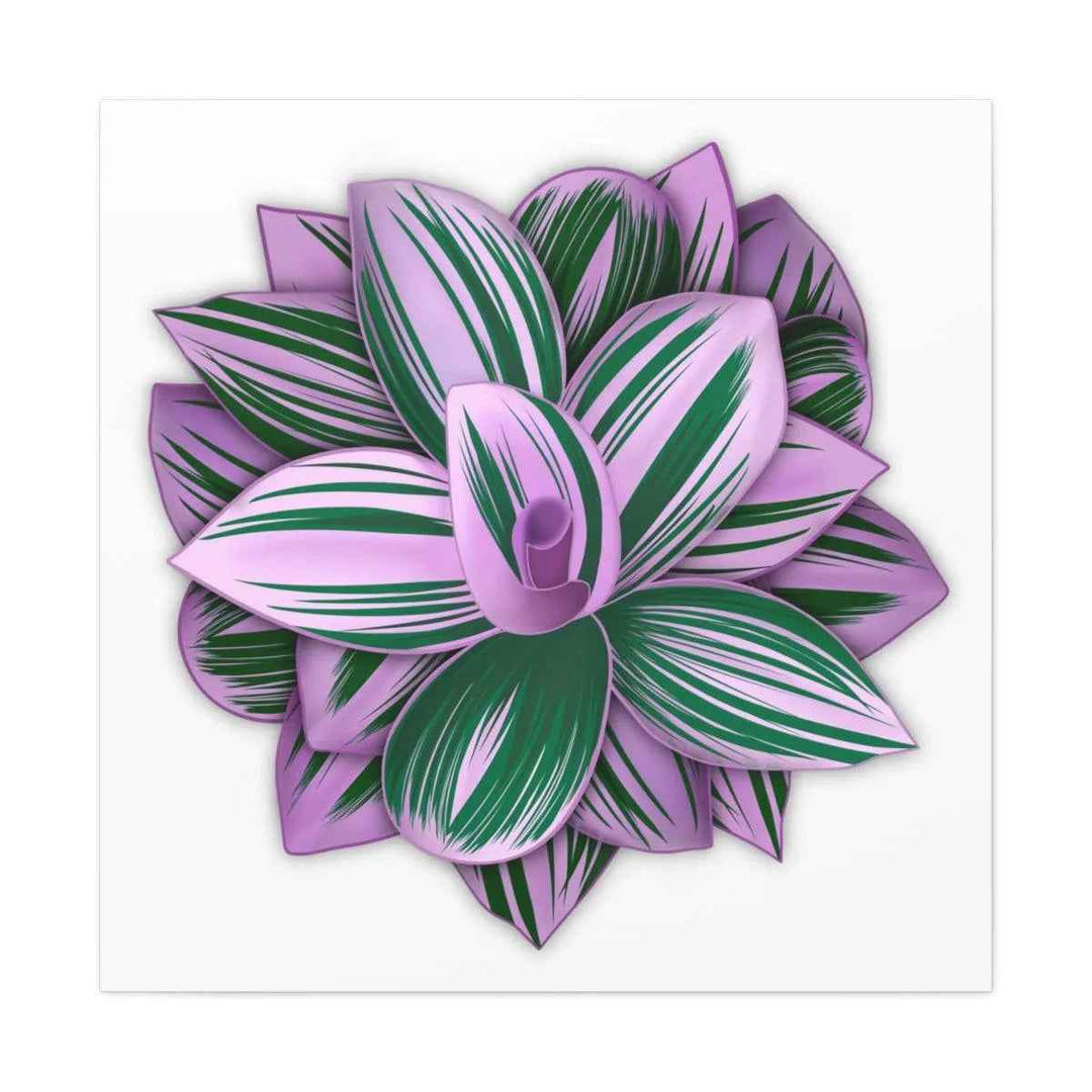 Tradescantia Nanouk Canvas – Botanical Canvas Art Print | Matte Finish Wall Decor