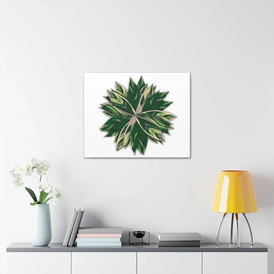 Stromanthe Triostar Canvas - Pastel Stripe Canvas Art Print With Vivid Color Artwork - Laura Christine Photography & Design