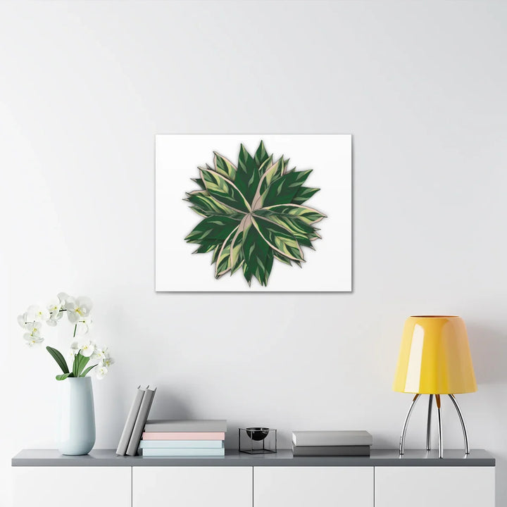 Stromanthe Triostar Canvas - Pastel Stripe Canvas Art Print With Vivid Color Artwork - Laura Christine Photography & Design