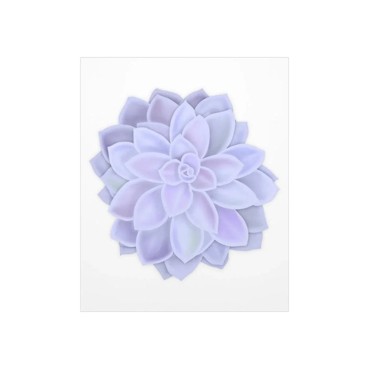 Graptopetalum 'Murasaki' Succulent Print, Poster, Laura Christine Photography & Design, Back to School, Home & Living, Indoor, Matte, Paper, Posters, Valentine's Day promotion, Laura Christine Photography & Design, laurachristinedesign.com