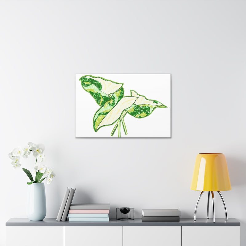 Marble Syngonium Canvas