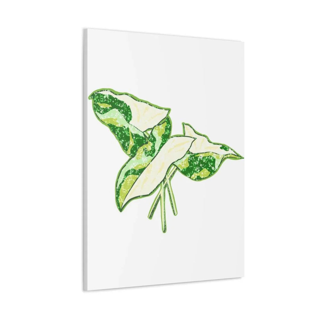 Marble Syngonium Canvas - Botanical Canvas Art Print | Durable Cotton Matte Finish - Laura Christine Photography & Design