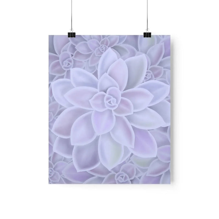 Graptopetalum 'Murasaki' Succulent Print, Poster, Laura Christine Photography & Design, Back to School, Home & Living, Indoor, Matte, Paper, Posters, Valentine's Day promotion, Laura Christine Photography & Design, laurachristinedesign.com