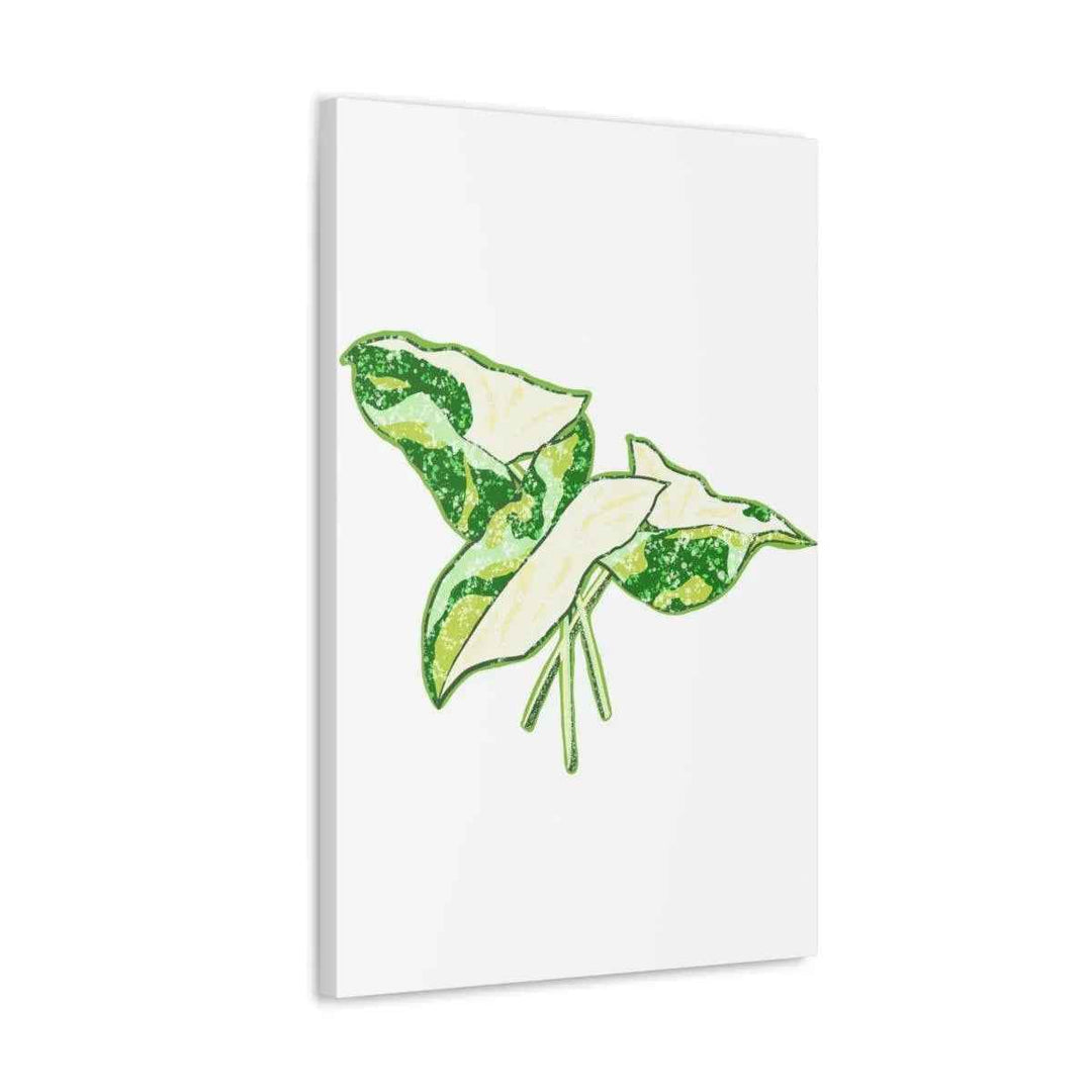 Marble Syngonium Canvas - Botanical Canvas Art Print | Durable Cotton Matte Finish