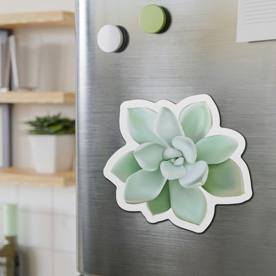 Pachyveria Haagei Succulent Magnets, Home Decor, Printify, Home & Living, Magnets, Magnets & Stickers, Valentine's Day promotion, Laura Christine Photography & Design, laurachristinedesign.com