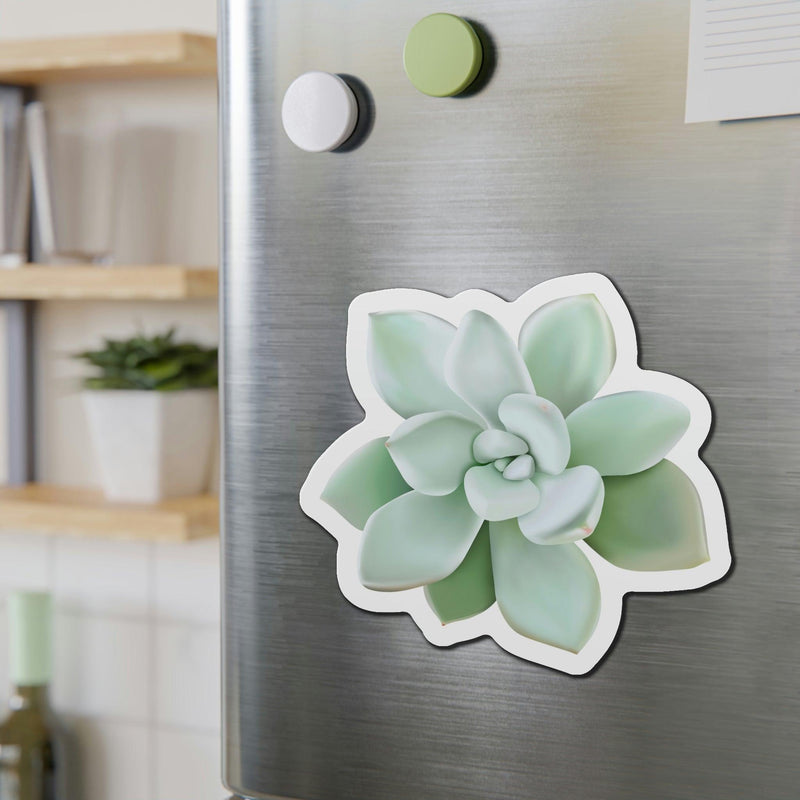 Pachyveria Haagei Succulent Magnets, Home Decor, Printify, Home & Living, Magnets, Magnets & Stickers, Valentine&