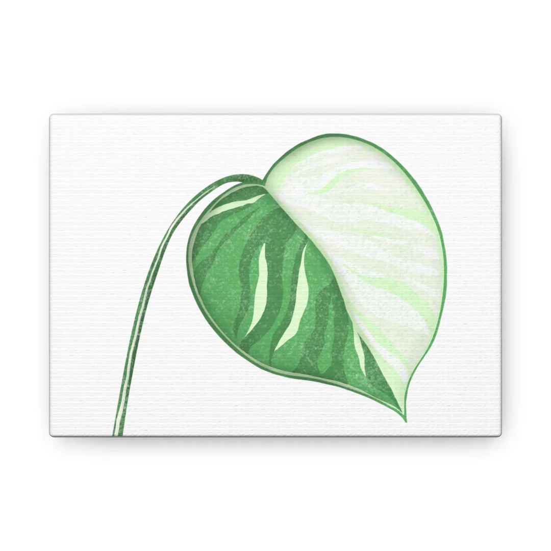 Monstera Albo Canvas | Large Tropical Leaf Artwork - Matte Finish Canvas Art Print - Laura Christine Photography & Design