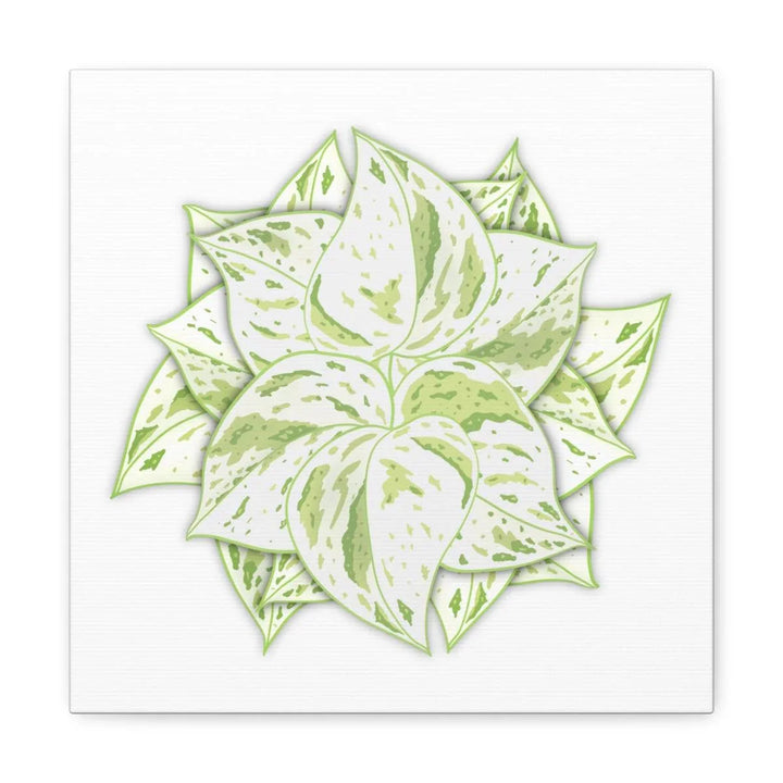 Snow Queen Pothos Canvas – Variegated Leaf Canvas Art Print | Durable Cotton - Laura Christine Photography & Design