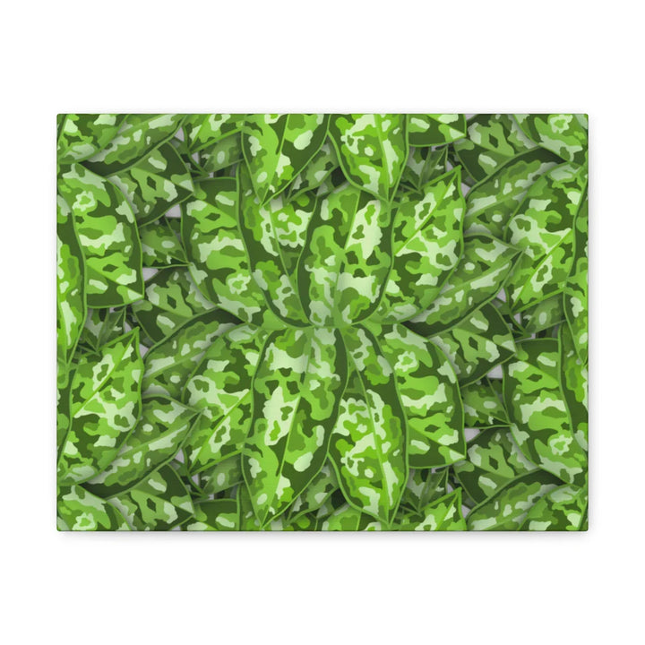 Aglaonema Pictum Canvas - Rare Camouflage Leaf Print Canvas Art Print